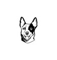 a head dogs logo vector image vector image