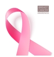 pink breast awareness ribbon vector image