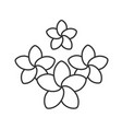 spa salon plumeria flowers linear icon vector image