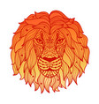 the face of a lion vector image vector image