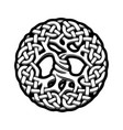 celtic tree of life vector image