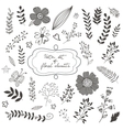 elegant collection with flowers leaves and twigs vector image
