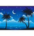 night coast vector image vector image