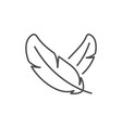 bird feathers line outline icon vector image