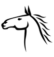 horse beauty vector image vector image
