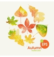 autumn background with leaves vector image