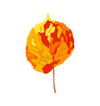 autumn linden leaf vector image vector image