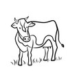 cow hand draw vector image
