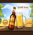 glass brown bottle and mug with craft beer vector image