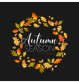 autumn leaves background floral banner design vector image