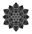 dotted black flower symbol vector image vector image
