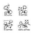 cotton plant set vector image vector image