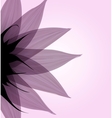 abstract pink flower vector image