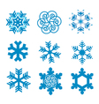 snow flakes vector image