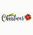 christmas design composition of poinsettia fir vector image