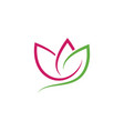 lotus flowers logo vector image