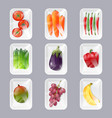 plastic trays with fresh fruits and vegetables vector image