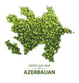 green leaf map of azerbaijan vector image vector image