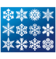 collection of snowflakes vector image
