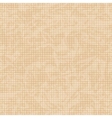 vintage seamless pattern texture vector image