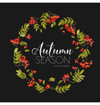 autumn rowan berry background floral banner design vector image