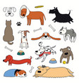 cute funny different dogs puppies clipart set vector image