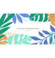 exotic background with colored blooming leaves vector image