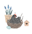 cute grape hyacinth pot and dappled hen sitting vector image vector image