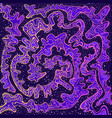 vintage psychedelic abstract space maze vector image