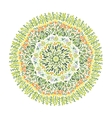 circle of flower vector image vector image
