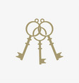 medieval vintage lock inspiration design three vector image vector image