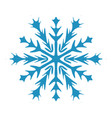 simple isolated snowflake vector image vector image