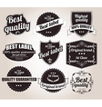 collection of vintage retro labels badges stamps vector image