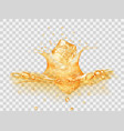 water splash from falling ice cubes vector image vector image