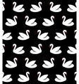 seamless pattern with swans vector image
