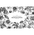 floral design with black and white laelia feijoa vector image vector image