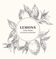 lemon hand drawn sketch with circle frame template vector image