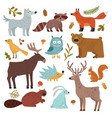 forest animals wolf raccoon and fox bear vector image