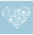 heart of sea shells vector image
