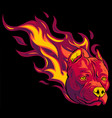 head dog pitbull with flames vector image