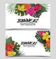 background with tropical flowers vector image
