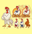 chicken chef vector image