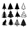set christmas trees collection stylized vector image
