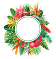 round frame from tropical plants and flowers vector image