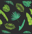 tropical palm monstera chamaedorea leaves vector image