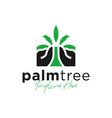 palm tree logo design vector image vector image