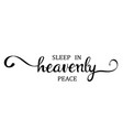 sleep in heavenly peace vector image vector image