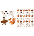 seamless background with animal vector image