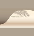 stage for product display spot of light vector image vector image