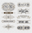 old vintage floral elements vector image